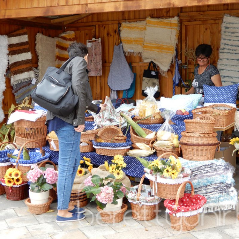 Helyi Értékek Startja 90